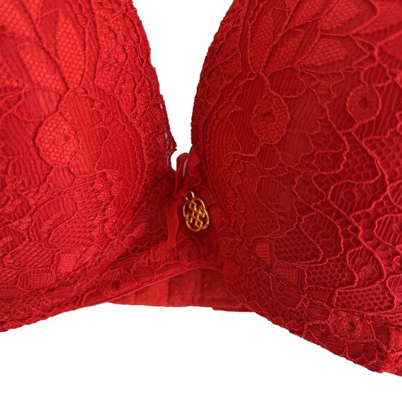 New Women’s Daisy Fuentes Ultimate Push Up Scallop Lace Bra Sz 34B NWT Red - Picture 2 of 5